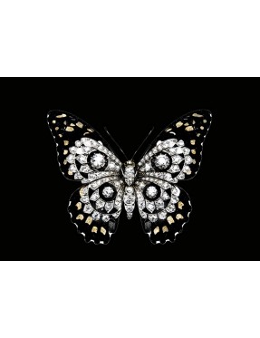 Jewel Butterfly