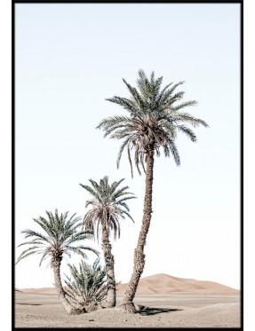 Desert Days