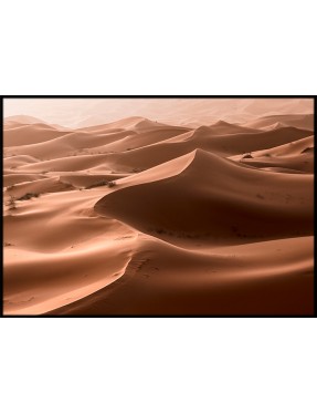 Morocco Sahara 4
