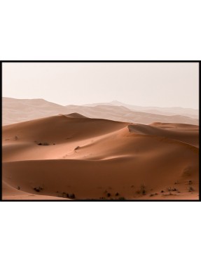 Morocco Sahara 2