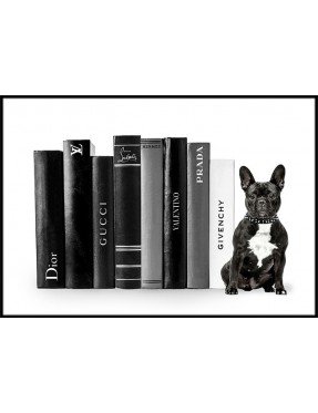 Fashion Books French Bulldog