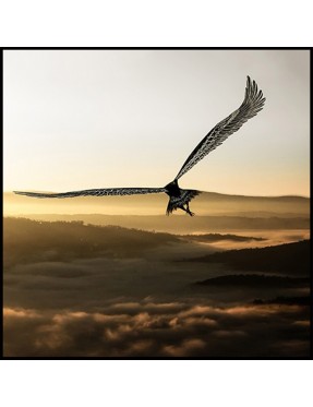 Eagle Hawk