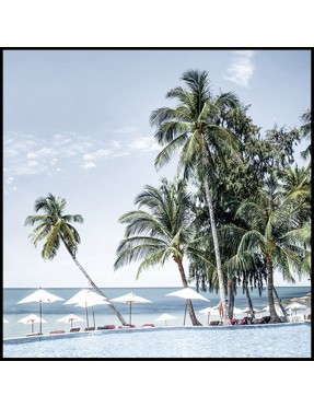 Beachside Palms