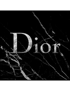 Dior Silver