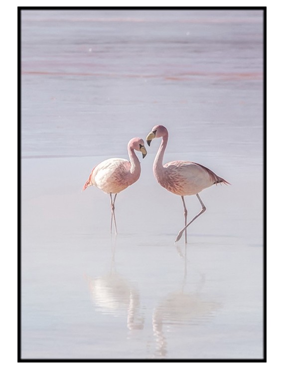 Pastel Flamingos