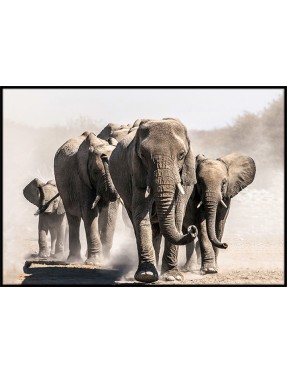 Elephant Pack landscape