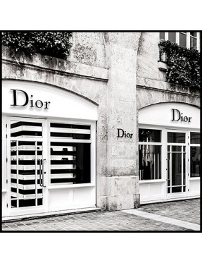 Dior House
